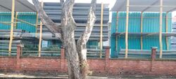 Tuas Road (D22), Warehouse #587554001